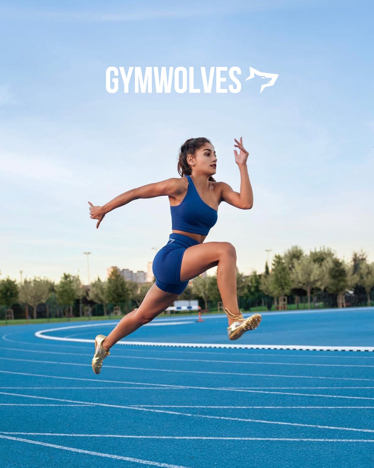 indoles-digital-campaign-succes-story